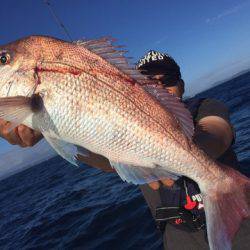 ランスルー 釣果