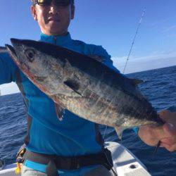 ランスルー 釣果