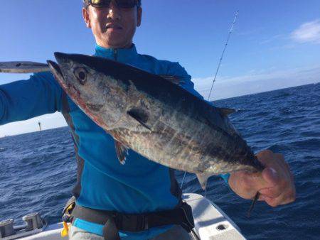 ランスルー 釣果