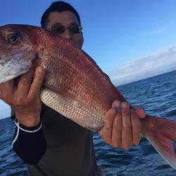 ランスルー 釣果