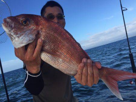 ランスルー 釣果