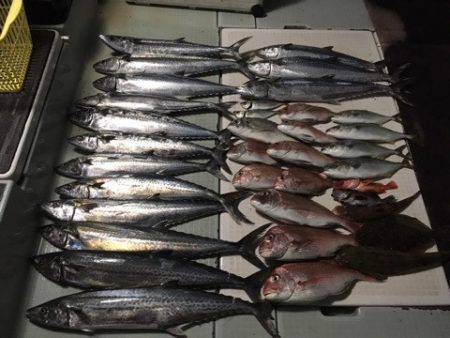 エムズジャーク（M's JERK…