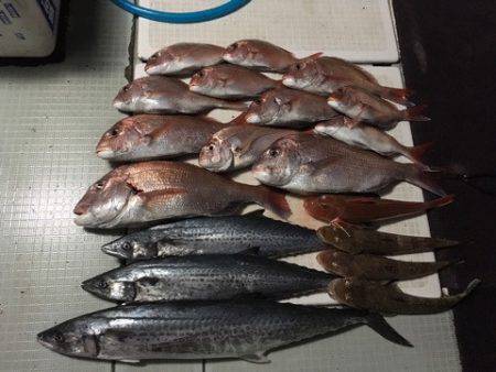 エムズジャーク（M's JERK…