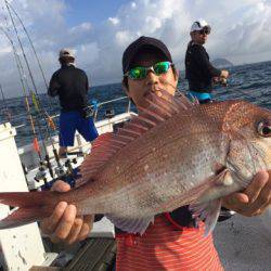 ランスルー 釣果