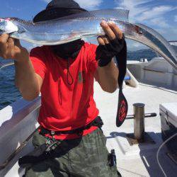 ランスルー 釣果