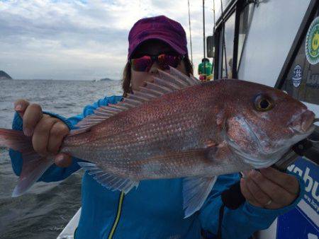 ランスルー 釣果
