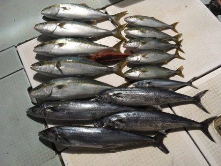 エムズジャーク（M's JERK…