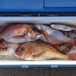 第二八坂丸 釣果