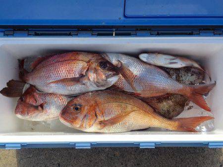 第二八坂丸 釣果