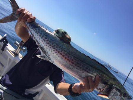 ランスルー 釣果