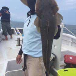 ランスルー 釣果