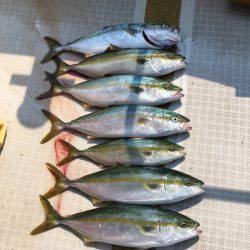 浜栄丸 釣果