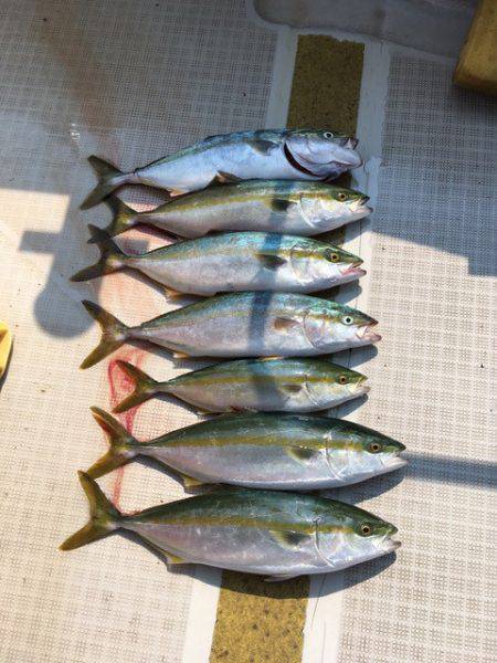 浜栄丸 釣果