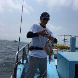 みやけ丸 釣果