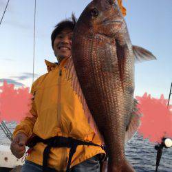 エヌスタイル 釣果