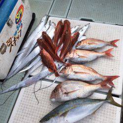 エムズジャーク(M’s JERK) 釣果