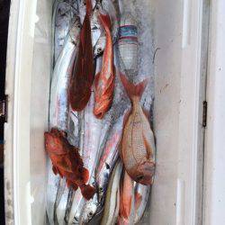 エムズジャーク(M’s JERK) 釣果