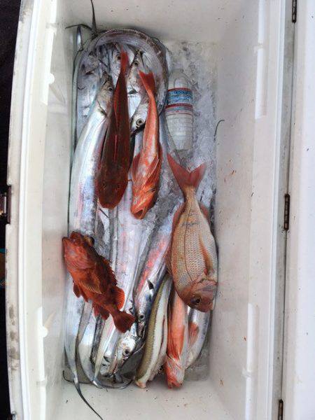 エムズジャーク(M’s JERK) 釣果