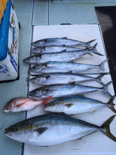 エムズジャーク（M's JERK…