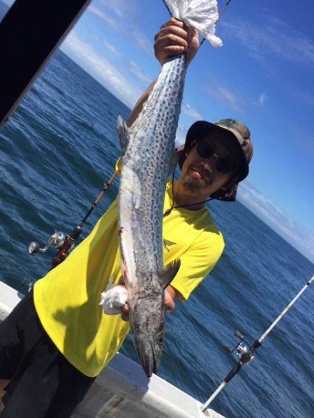 ランスルー 釣果