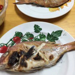 ランスルー 釣果