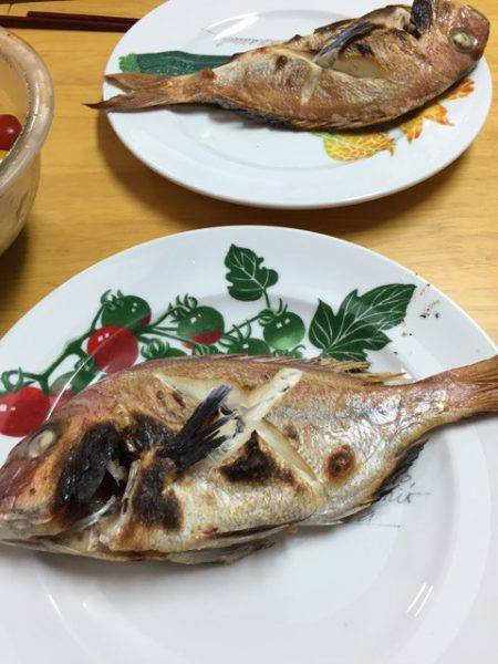 ランスルー 釣果