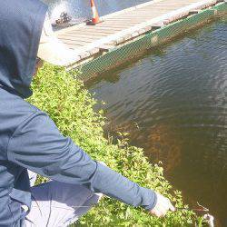 平谷湖フィッシングスポット 釣果