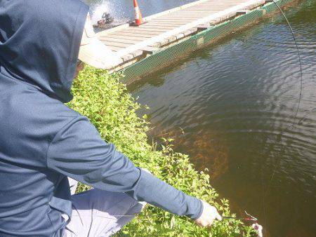 平谷湖フィッシングスポット 釣果