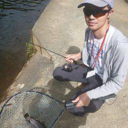 平谷湖フィッシングスポット 釣果