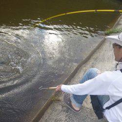 平谷湖フィッシングスポット 釣果
