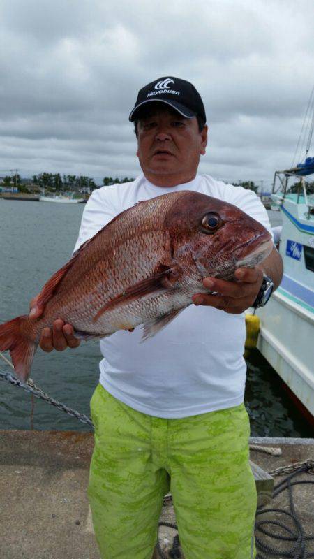 富士丸 釣果