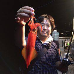 South Current 釣果