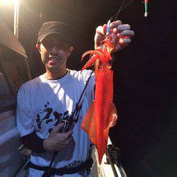 South Current 釣果