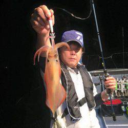 South Current 釣果