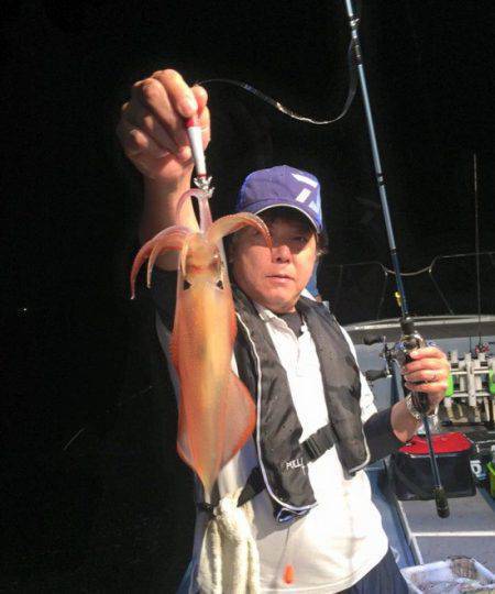 South Current 釣果