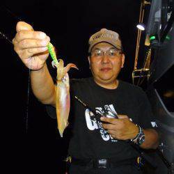 South Current 釣果