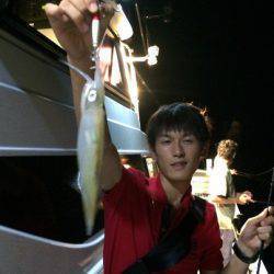 South Current 釣果