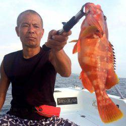 South Current 釣果