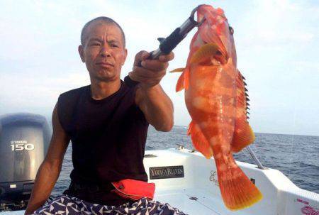 South Current 釣果