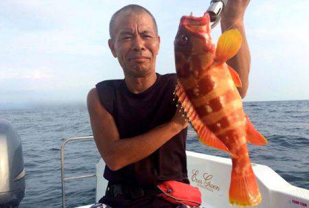 South Current 釣果