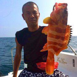 South Current 釣果