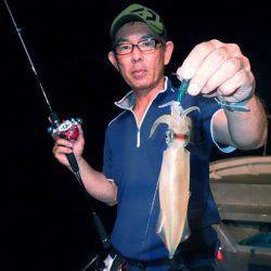 South Current 釣果