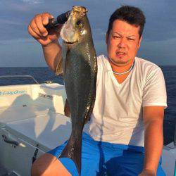 South Current 釣果