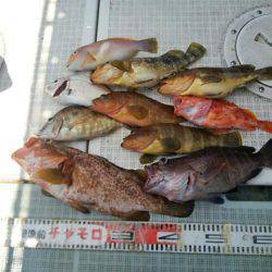 チャモロ 釣果