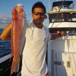 Big One　ビッグワン 釣果