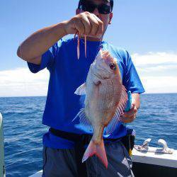 Big One　ビッグワン 釣果