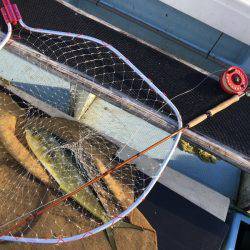 第八 源洋丸 釣果