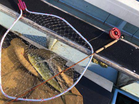 第八 源洋丸 釣果