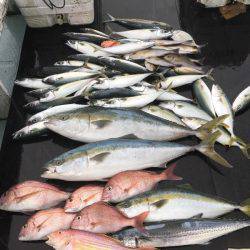 第八 源洋丸 釣果