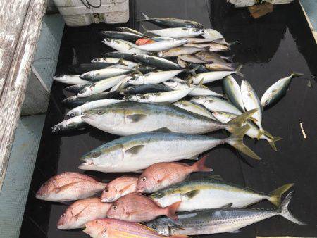 第八 源洋丸 釣果